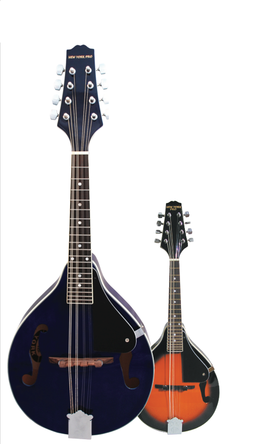 FM Stadium Acoustic Mandolin with Soft Case - Blue Burst