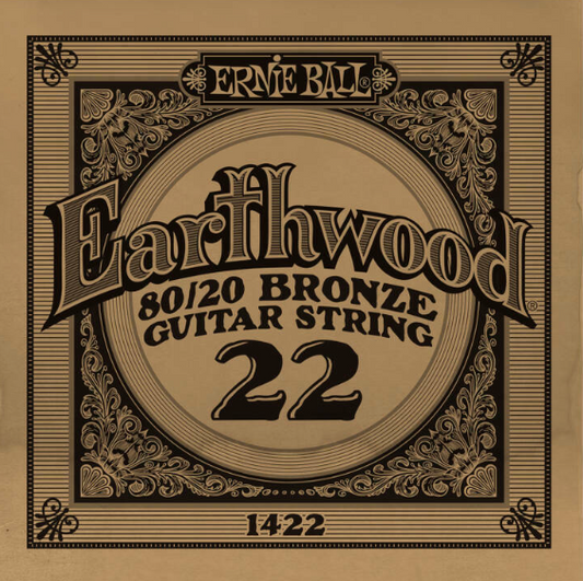 .022 Gauge 80/20 Bronze - Ernie Ball Earthwood Guitar String 1422 - Single