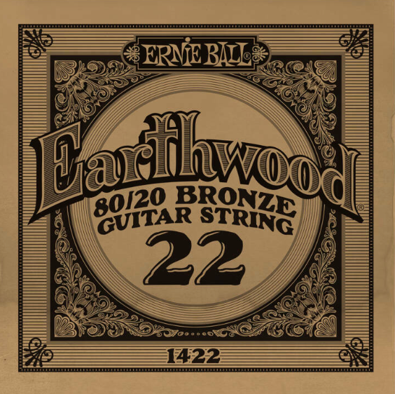 .022 Gauge 80/20 Bronze - Ernie Ball Earthwood Guitar String 1422 - Single