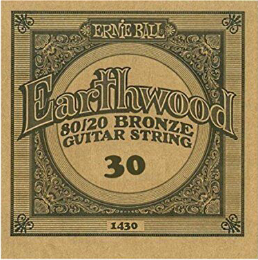 .030 Ernie Ball - Earthwood 80/20 Bronze Guitar String - Single