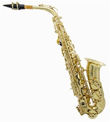FM Student Alto Saxophone Outfit - Brass Finish - F1038 - Fornaszewski Music Store, Granite City IL 62040 - www.stanf.com