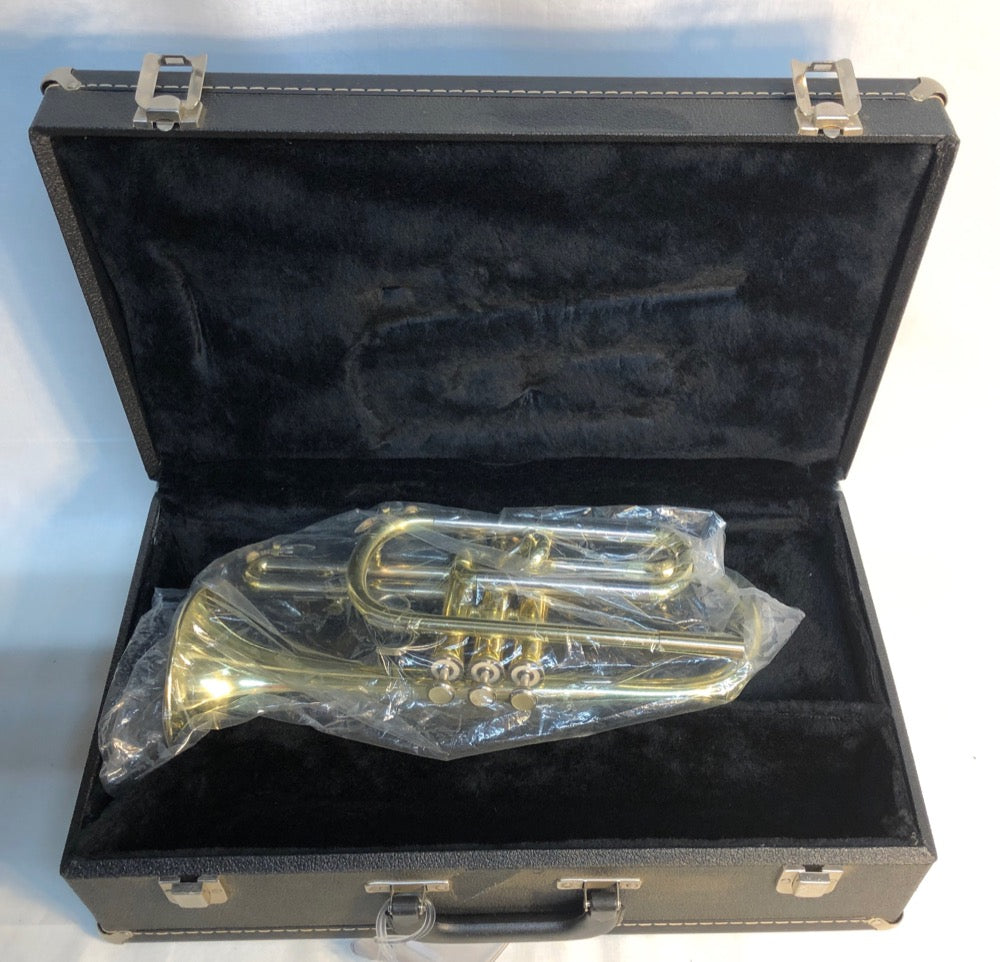 New Blessing XL Cornet in case - F586 - Fornaszewski Music Store, Granite City IL 62040 - www.stanf.com