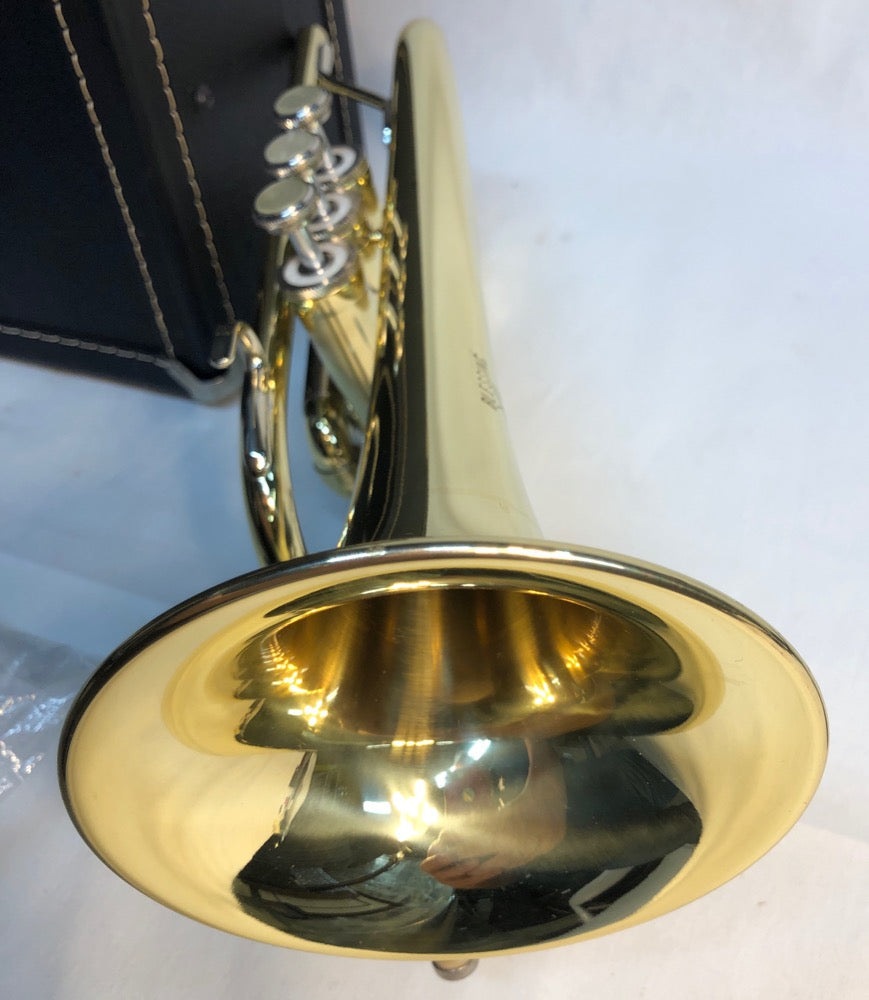 Vintage NOS Blessing (Elkhart) XL Cornet with case - F586