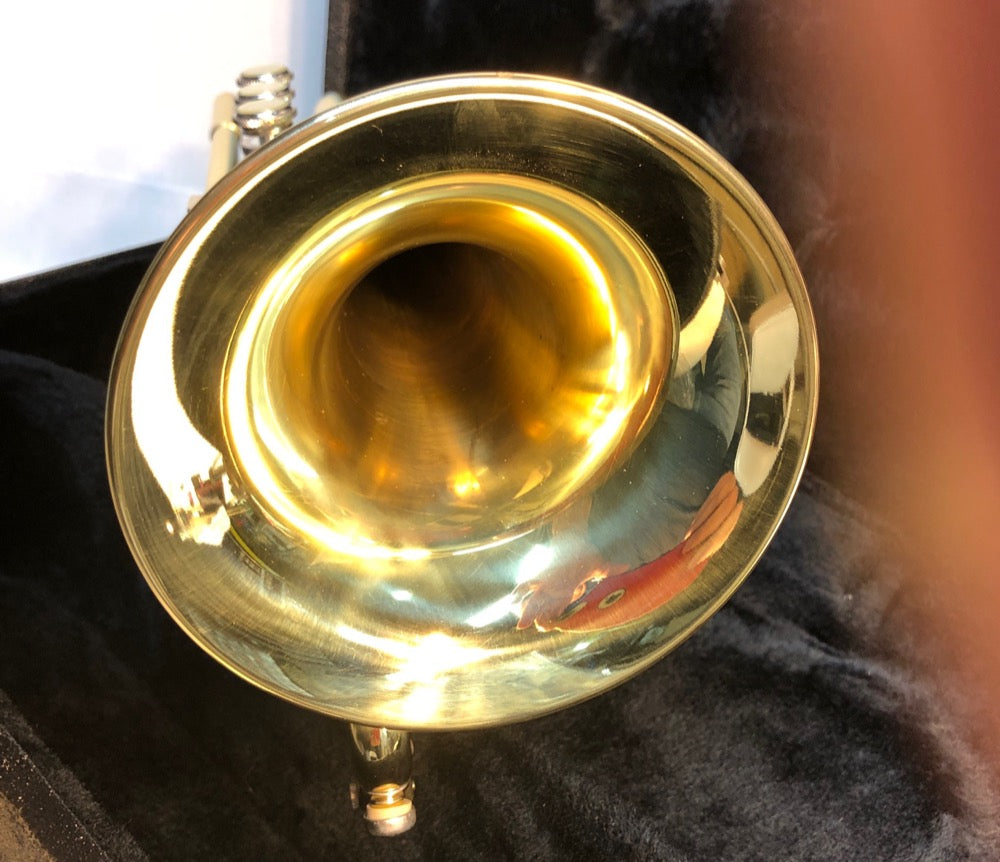 Vintage NOS Blessing (Elkhart) XL Cornet with case - F586