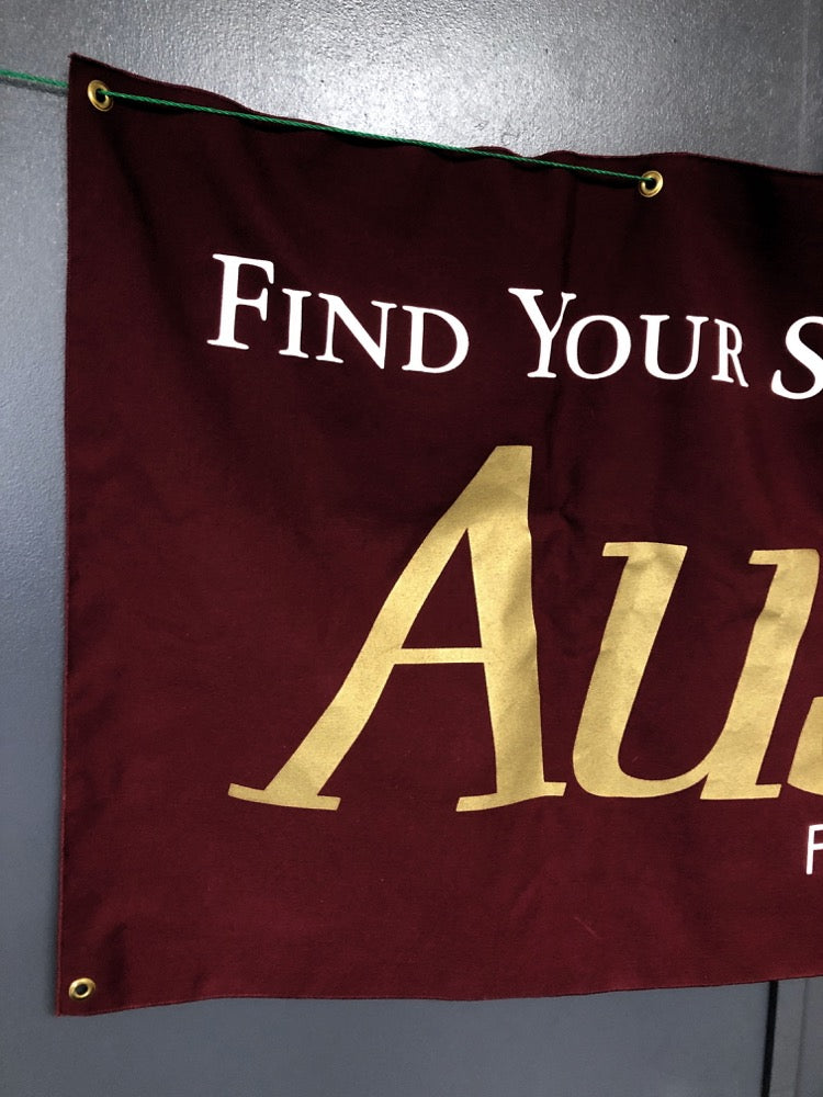 Austin Guitars Banner - 48 inches wide x 25.5 inches tall E0094