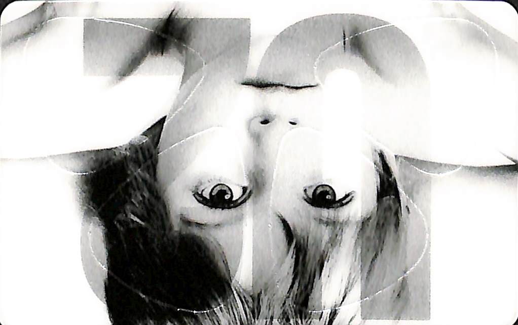 Pikcard - Artist Card - Set of 4 Guitar Picks For Your Wallet