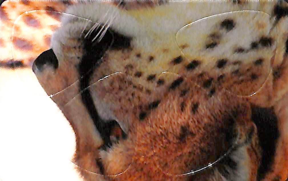 Pikcard - Artist Card - Set of 4 Guitar Picks For Your Wallet