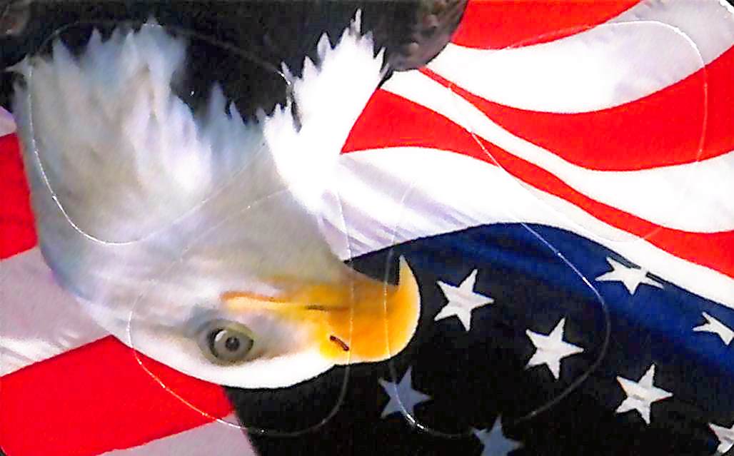 Pikcard - Artist Card - Set of 4 Guitar Picks For Your Wallet