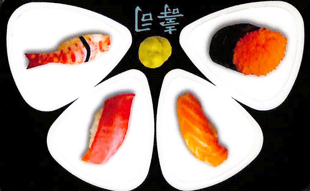 Pikcard - Artist Card - Set of 4 Guitar Picks For Your Wallet